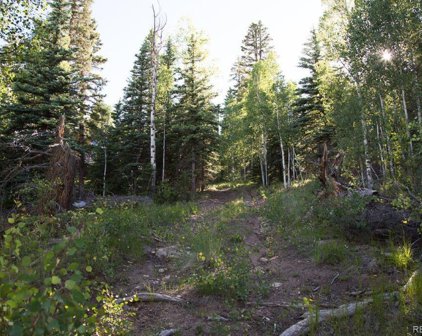 32008 Elk Trail Ln, Creede