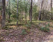 126 Green Hollow  Lane, Brevard image