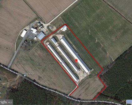 30560 Charles Barnes Rd, Westover