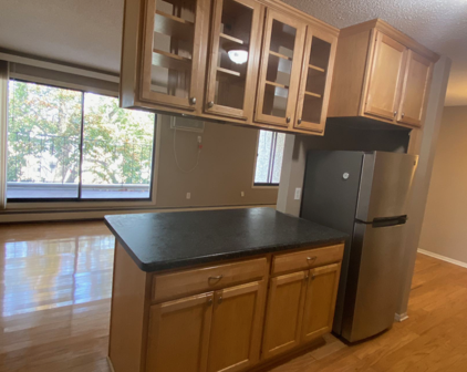 4110 Rahn Road Unit #307, Eagan