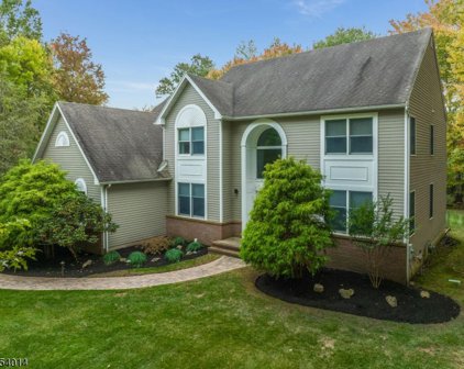 2 Appleman Way, Bridgewater Twp.