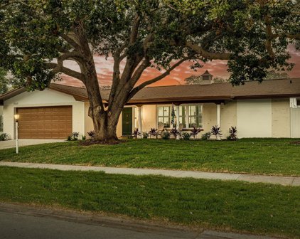 1869 Paradise Lane, Clearwater