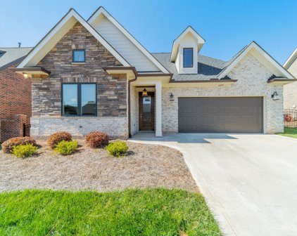 6095 Gold Springs  Way, Denver
