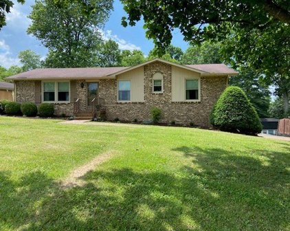 113 Donmond Dr, Hendersonville