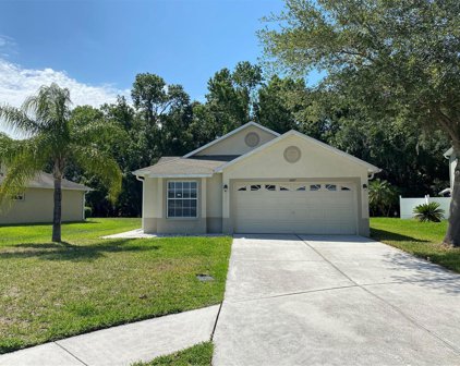 4607 Mcbrine Court, Land O' Lakes