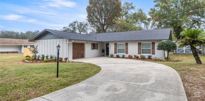 331 Ne 50th Court, Ocala