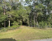 11277 S Turner Avenue, Floral City image