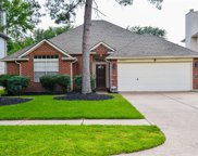 14943 Chestnut Falls Drive, Cypress image