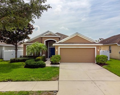 13714 Trinity Leaf Place, Riverview