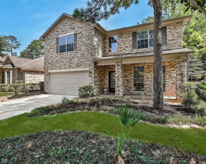 26 Colewood Court, The Woodlands