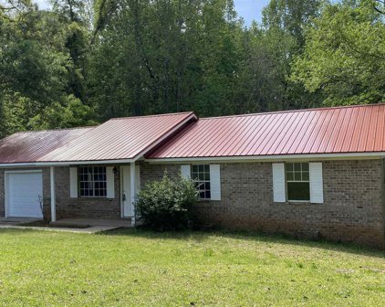 259 Willis Wilder Drive, Forsyth