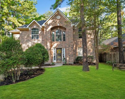 84 W Sandalbranch Circle, The Woodlands