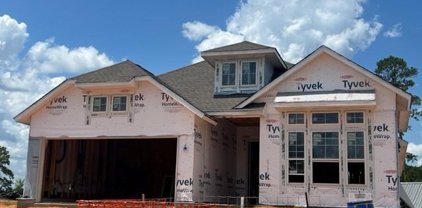 208 Nirnroot Court, Montgomery
