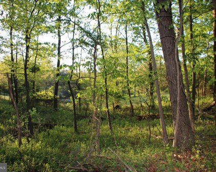 760 Newlins Hill Rd, Winchester