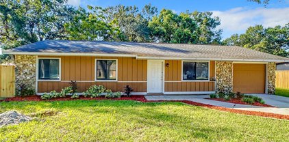 1622 Oak Avenue, Deland