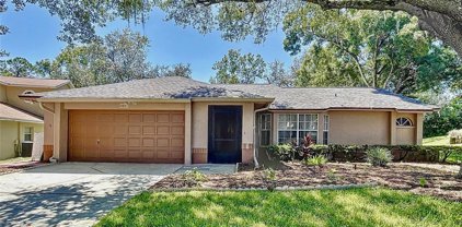 2241 Tinder Court, Land O' Lakes
