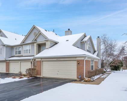 1628 Columbia Circle Unit #4, Bartlett