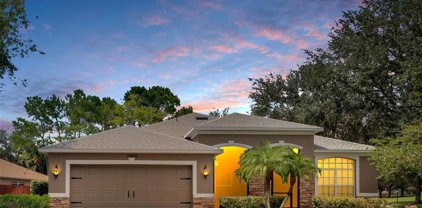 7605 Nottinghill Sky Drive, Apollo Beach