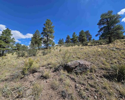 358 Escondida, South Fork