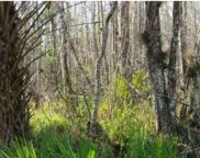 Blue Creek Road, Astor image
