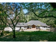 23008 NE SCHAUER DR, Battle Ground image