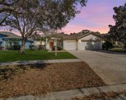 7308 Carrington Oaks Lane, Apollo Beach image