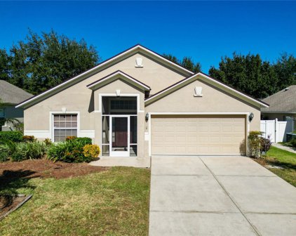 2236 Merry Road, Tavares