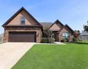 3114 Tobiano, Benton image