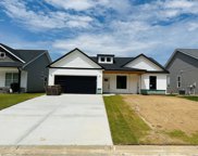 203 Page Creek Boulevard, Landrum image