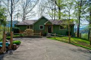 4007 Wears Cove Road, Sevierville image