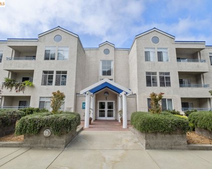 535 Pierce St 1111, Albany