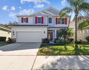 7960 Camden Woods Drive, Tampa image