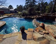 13658 Lakeside Place Drive, Willis image