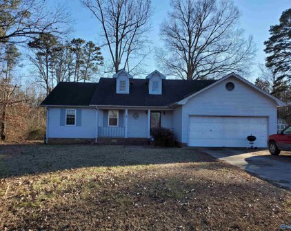 166 Camille Street, Scottsboro