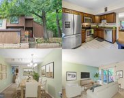 11979 Greywing Ct, Reston image