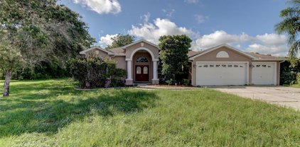 13496 Satinwood Court, Spring Hill