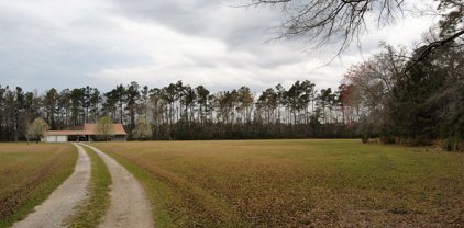 Cypress Campground Road, Ridgeville