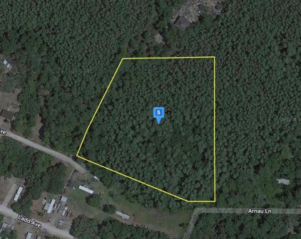 12965 Rio Vista Ave, New Port Richey