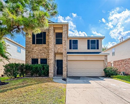2518 Knoll Shadows Lane, Katy