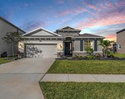 8616 Bower Bass Circle, Wesley Chapel image
