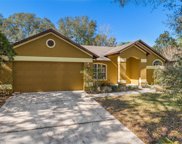 1800 Silver Valley Court, Apopka image