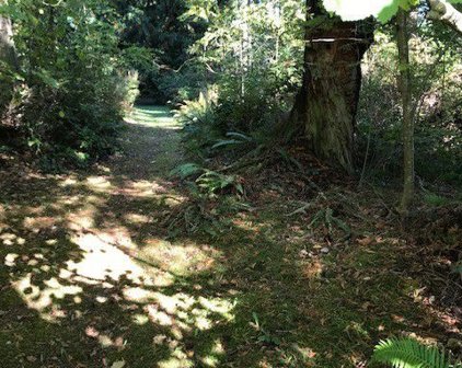 18102 70th St. E., Bonney Lake