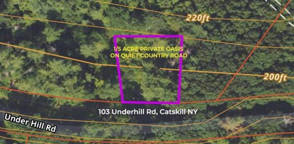 103 Underhill Road, Catskill