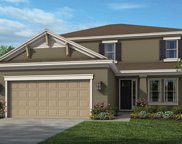 11132 Fieldstone Drive, Palmetto image