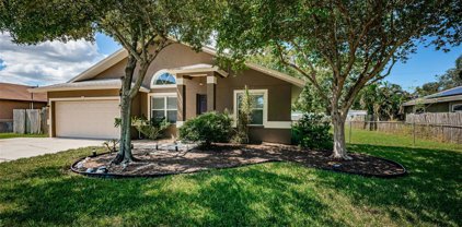 7070 64th Street N, Pinellas Park