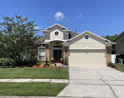 1722 Anna Catherine Drive, Orlando