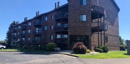 368 Harbor Drive Unit 401, Ludington