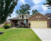 20214 Cypresswood Estates Run, Spring image