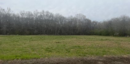 Lot 3 and 4 Gant Road, Scottsboro