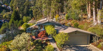 528 Midvale Way, Mill Valley